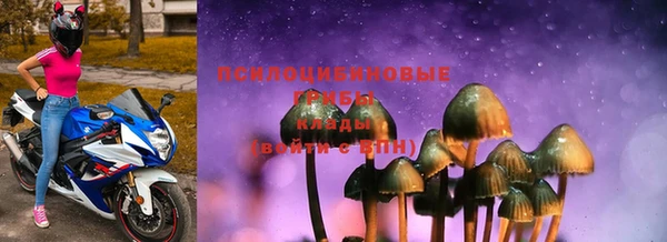 PSILOCYBIN Заволжье