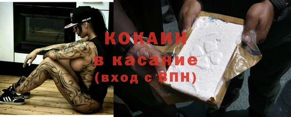 шишки Тавда