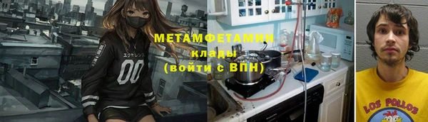 гидра Тайга