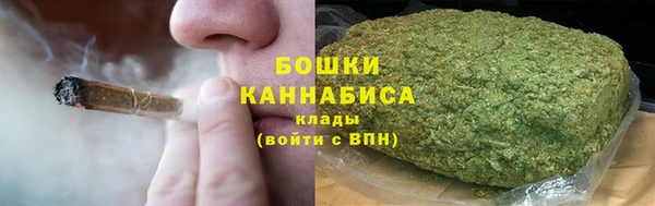 гидра Тайга
