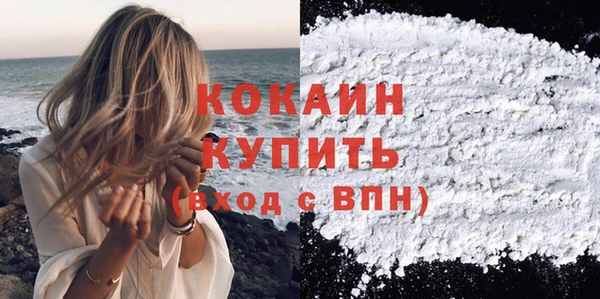 гидра Тайга