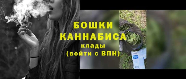 гидра Тайга