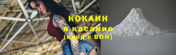 шишки Тавда