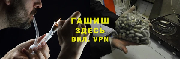 гидра Тайга