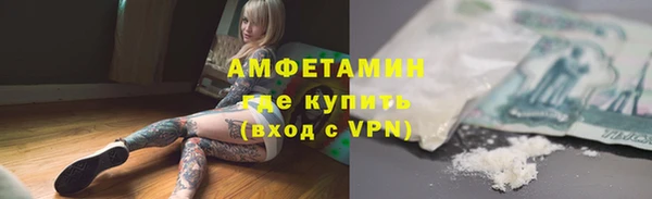шишки Тавда