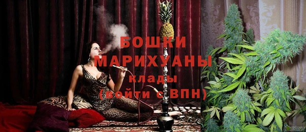 шишки Тавда