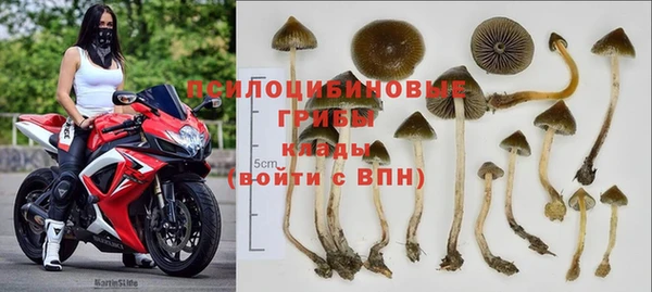 PSILOCYBIN Заволжье