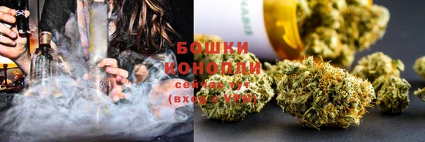 spice Покачи