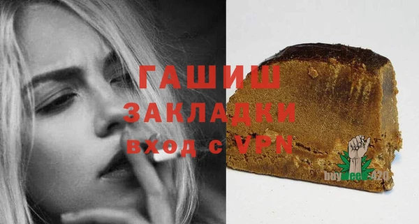 гидра Тайга