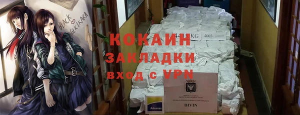 дурь Сясьстрой