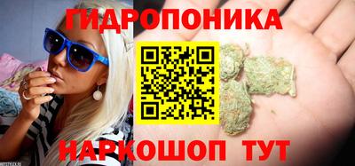 спайс Коммунар
