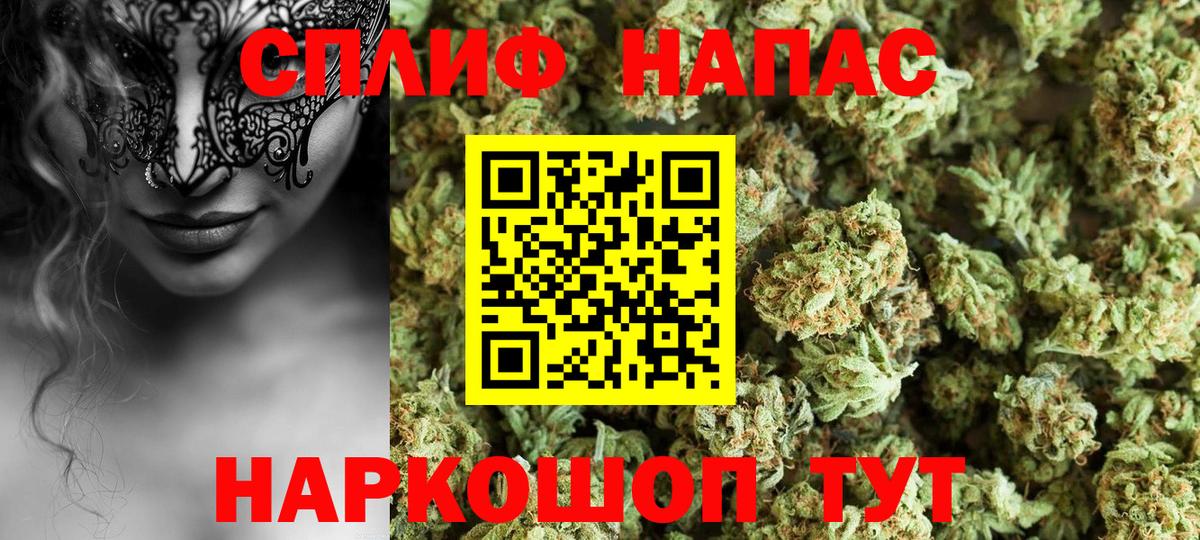 Бошки марихуана конопля Лобня